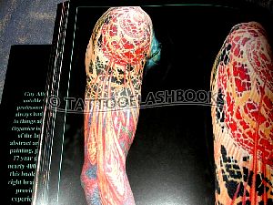 aitchison01pic12.jpg