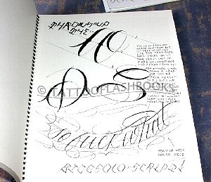 biggsolo01pic04.jpg
