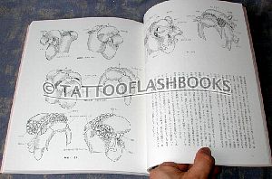 konno01pic03.jpg